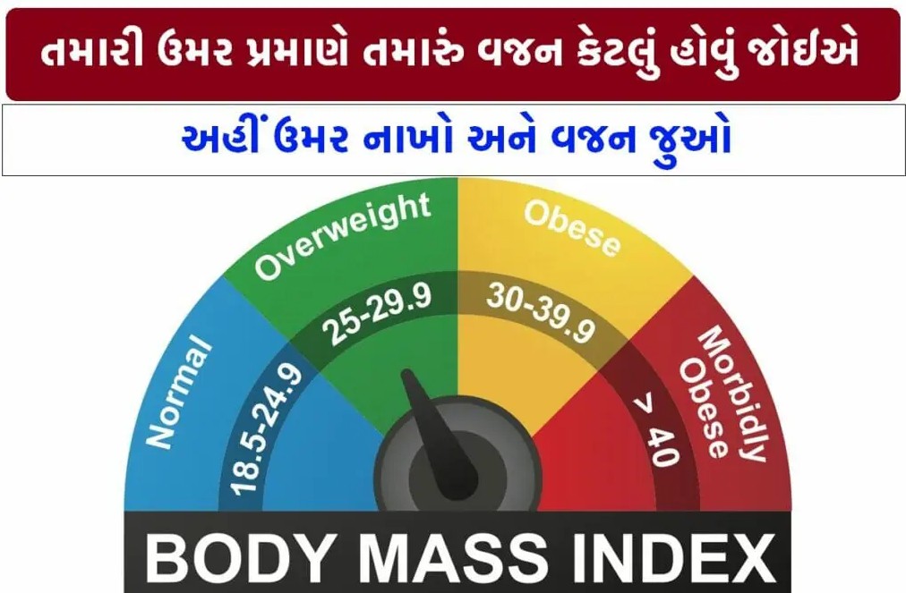 A visual representation of the BMI Calculator Tool on a website